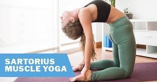 Check spelling or type a new query. Hip And Knee Pain Use Yoga For Your Sartorius Muscle Issa