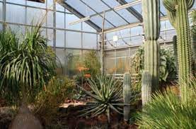 Der botanische garten an der leipziger straße im norden von chemnitz ist anziehungspunkt für große und kleine besucher. Botanischer Garten Stadt Chemnitz