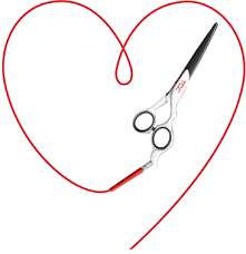 Bildergebnis für Yizhet Haarschere logo png