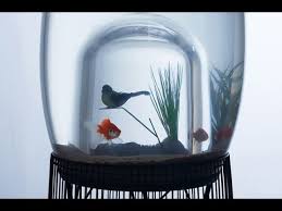 Promo free ongkir s.d rp10.000. Heboh Aquarium Paling Unik Di Dunia By Unik