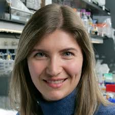 Stanford Bio-X: Diversity, Equity, & Inclusion