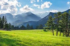 Ants are one of the most diverse types of pests on the planet. Keeping It Green Complete Pest Prevention