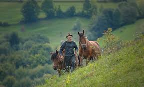 Hartile turistice ale judetelor romaniei. AtracÈ›ii È™i Obiective Turistice MaramureÈ™ Locuridinromania Ro