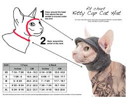 Pin By Jenyka Tapia On Cat Clothing Sphynx Cat Clothes