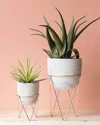 des accessoires deco pour vos plantes shake my blog decoration plante cache pot interieur coloriage kirby gratuit