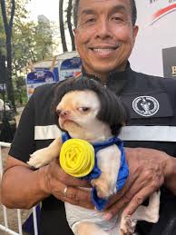 perfect ankle angle: 90 degree