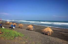 Check spelling or type a new query. Pesona Keindahan Wisata Pantai Jatimalang Di Jatimalang Purworejo Jawa Tengah Ihategreenjello