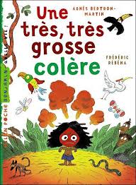 L Amerique Du Sud Une Tres Tres Grosse Colere Colere La Couleur Des Emotions Habiletes Sociales