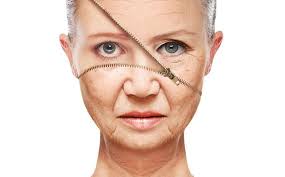 Secret Wrinkle Fighting Weapon The Benefits Of Polyphenols In 2020 Anti Aging Procedures Olive Oil For Face Anti Aging Skin Care Diy