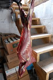 نتیجه جستجوی لغت [butchering] در گوگل