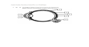 Pt3 dah nak dekat lah! Soalan Sains Pt3 Download Pdf