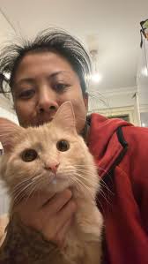 De kat is gisteren onverwachts overleden. : r/CatAdvice