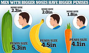 Forget big feet! Men with large NOSES tend to have bigger penises, study  reveals | Daily Mail Online