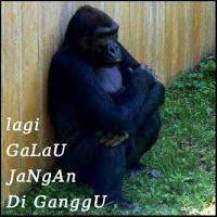 Lagi Galau Memes Funny Faces Funny Jokes For Kids Cartoon Jokes