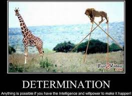 Here are seven ways you can motivate yourself to work really hard even when you're tired, uninspired, and not at all in the mood. Meme Creation Monday Motivation Work Memes