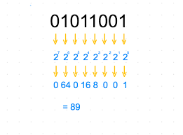 Learn How To Read Binary In 5 Minutes Linda Vivah Medium