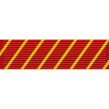 We are grateful to all active duty and veteran military members, especially those who placed themselves in the line of fire. Air Force Combat Action Medal Ribbon Usamm
