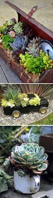 Jardineria Puedes Colocar Tus Plantas En Cofres Y Tazas Que Puedan Ayudarte A Decorar Un Espacio Pflanzen Garten Pflanzen Garten