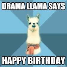 Funny Birthday Wishes For Medical Students Funny Meme Llama Birthday Wishes Funny Birthday Meme Birthday Meme Funny Llama