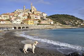 Bandiere blu 2021, ecco quali sono le località che hanno ottenuto il riconoscimento quest'anno. Bandiere Blu Liguria 2021 Le Spiagge Premiate In Liguria