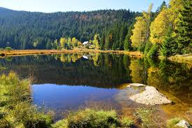 Baden was laid down in 1913, bayern and sachsen followed in 1914, and württemberg, the final ship, was laid down in 1915. Seen Im Bayerischen Wald Eure Favoriten Urlaubsguru