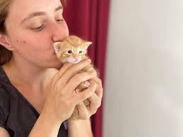 Beruf Tierpfleger , meistens , überwiegend , fast immer 😊ein Traum Job