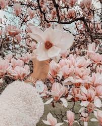 Light blue aesthetic blue aesthetic pastel plant aesthetic nature aesthetic aesthetic colors flower aesthetic aesthetic backgrounds aesthetic wallpapers images esthétiques. Aesthetic Pastel And Flower Image 7094656 On Favim Com
