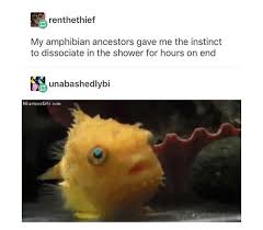 Human Brain I Need To Get Out The Shower Now Fish Brain More Tumblr Funny Funny Memes Funny