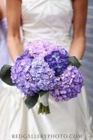 Hydrangeas are ideal for fresh and dried flower arrangements as well as bridal bouquets. Pin By Kristina Baranova On Bridal Bouquet Hydrangeas Wedding Purple Wedding Bouquets Hydrangea Bouquet Wedding