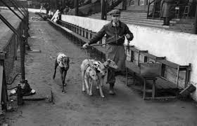 Black And White Greyhound Racing Pin On Black And White