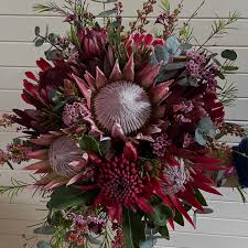 Image result for Bewsia biflora