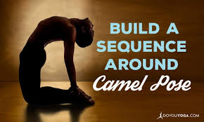 But if one finds this pose challenging for the back certain easy thus after practicing these variations you could gain confidence and thus move into the actual yoga pose to get the maximum benefit. How To Build A Sequence Around Camel Pose Doyou