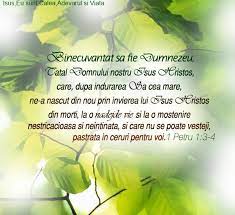 Livrare gratuita la comenzile de peste 200 lei. Facebook