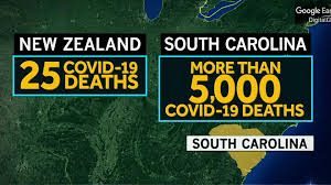 New zealand has 112 active cases, and now 24 deaths. Unexplained Covid 19 Cases Prompt First Lockdown In New Zealand Since August