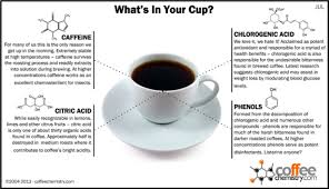 Whats Really In Your Cup Of Coffee Discover Magazine