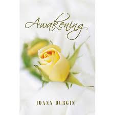 Amazon.com: The Lewis Legacy Series Box Set: 4-in-1 Special Edition eBook :  Durgin, JoAnn: Kindle Store