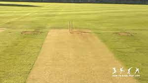 How To Swing The Ball Both Ways How To Bowl Fast Cricket Skills From the beginnig of cricket, bowling has since being the most skillful and difficult of cricket skills to acquire. ball both ways how to bowl fast