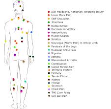 Free Reflexology Charts Points For Specific Ailments