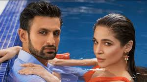 Pakistani actress Ayesha Omar hits headlines amid Sania Mirza-Shoaib Malik  divorce rumours: A look at her bold pics