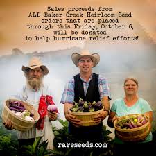 Baker Creek sales proceeds from all seed orders placed through this Friday,  October 6, will be donated to help hurricane relief efforts in Puerto Rico  and beyond! If you or someone you