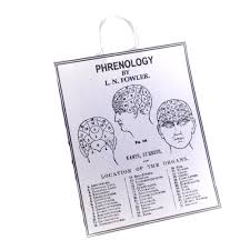 Ms194 1 12 Scale Phrenology Chart Online Dolls House