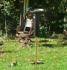 Stop squirrels in their tracks with these easy tips. 8 Diy Squirrel Proof Bird Feeder Ideas Balcony Garden Web