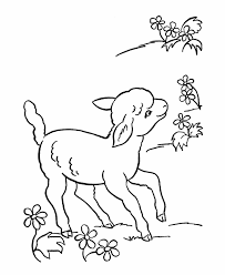 Find out more easter on printablecoloringpages.org. Pin On Coloringanimals1
