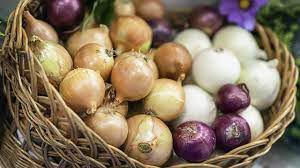 The Recent Salmonella Newport Outbreak That Has Hit The U S And Infected Nearly 400 People May Be Connected To S Healthy Food Guide Onion Benefits Health Onion