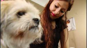 hunde haareschneiden lenis tipps youtube haare schneiden haare selber schneiden hundehaare