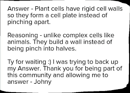 Check spelling or type a new query. During Cytokinesis In Plant Cells The Cell Plate Is Formed By The Fusion Of Vesicles Derived From Brainly In