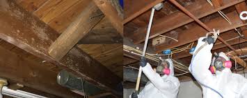 The cost to remediate basement mold will range from $500 to $5,000, depending on various factors such as the amount of mold growth, location and techniques used. Basement Mold Removal Nj Professional South Jersey Mold Removal