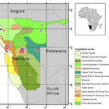 Image result for Anisopappus paucidentatus