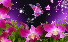 Download wallpapers and screensavers for mobile. Butterfly Wallpapers Free Download Group 66