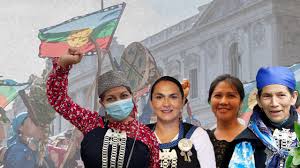 Por elisa loncon antileo *. Escanos Reservados Mapuche Vencen Mujeres Independientes Y Pierden Candidatos Apoyados Por Empresarios Interferencia